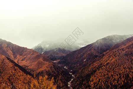 拍摄地点秋季稻城亚丁风光背景