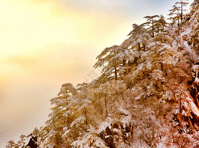 大美黄山冬天景色背景