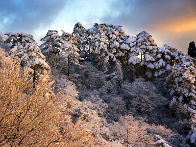 大美黄山冬天景色背景