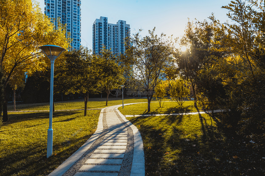 秋日阳光植物小路图片