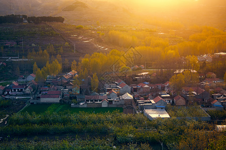 秋季葡萄园山村夕照背景