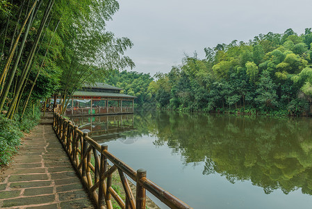 蜀南竹海翡翠长廊背景图片