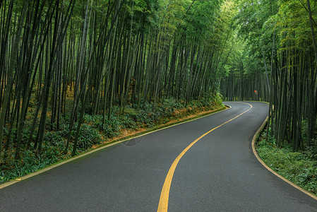 手绘翠绿竹林蜀南竹海林间公路背景