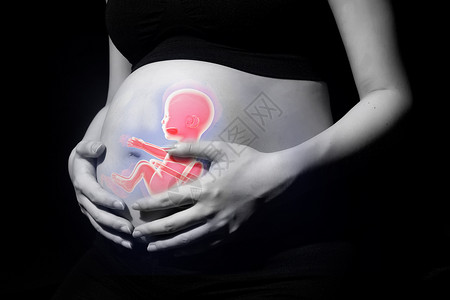 宝宝坐姿孕妇腹部透视设计图片