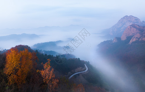 小西沟山脉山脉云海小路背景