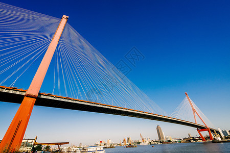 河雅景观大桥上海杨浦大桥背景