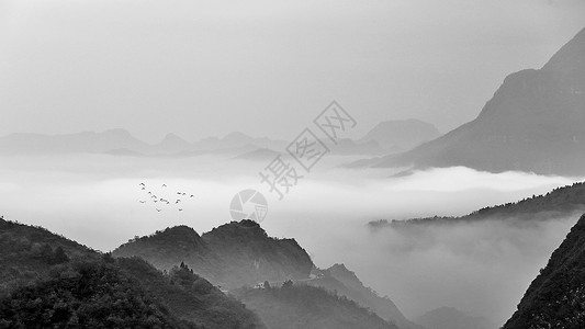 中国风飞鸟水墨效果的中国山水风光背景