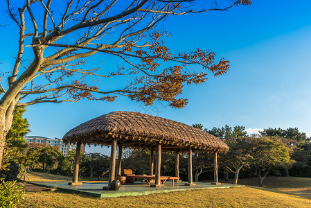 阿布扎比民俗村韩国济州民俗村背景