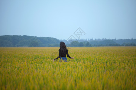 种水稻女孩女孩背景素材背景