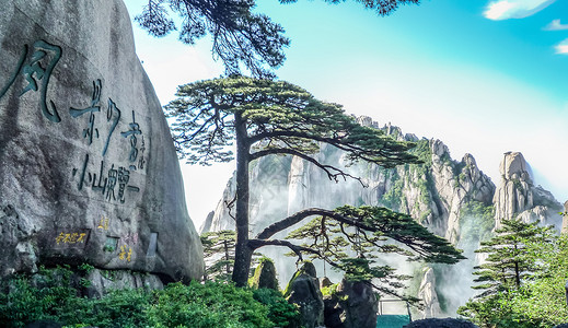 宝顶山石刻黄山迎客松背景