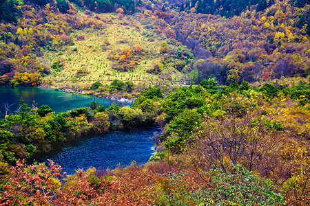 绿叶光影美丽的九寨沟背景