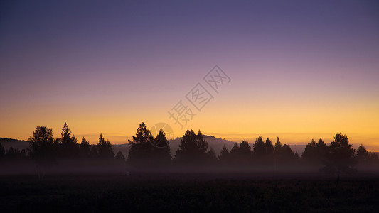 草原的晨雾阿尔山森林公园高清图片
