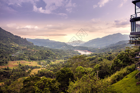 韦尔扎斯卡斯里兰卡高山茶园风光背景