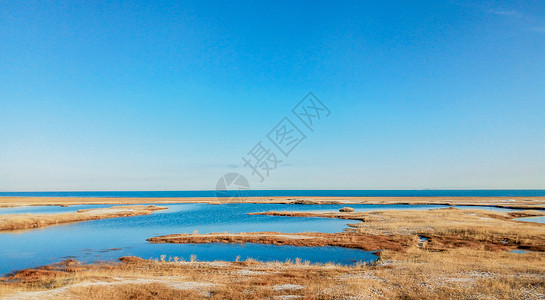 青海湖岸边图片