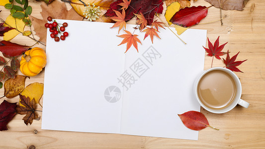 秋日落叶缤纷多彩的桌面高清图片