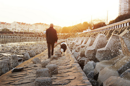 散步遛狗老人与狗背景