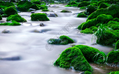 像牛奶一样丝滑的溪水青苔背景图片