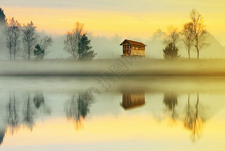 屋子背后的树清晨乡村充满雾气的湖边倒影背景