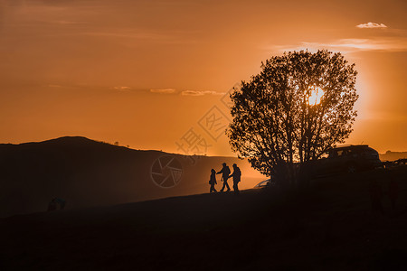 大树剪影图片内蒙古坝上草原夕阳下的摄影人背景