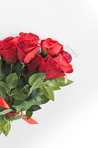 红花花瓶玫瑰花背景