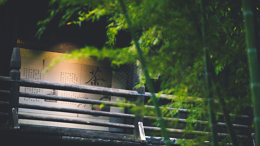 大唐女皇大唐贡茶院竹林美景背景