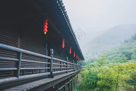 户外雨天大唐贡茶院竹林背景