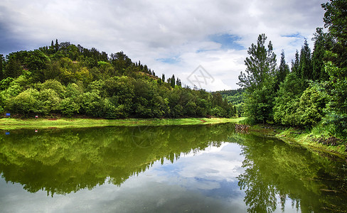 山水公园湖景森林湿地公园背景