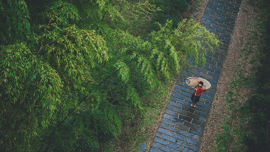 雨天骑车竹林中国风小女孩背景