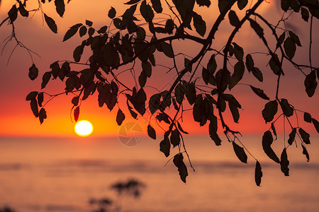 极美的夕阳图片