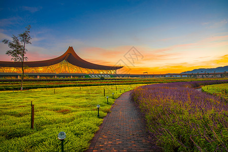 黄昏植物夕阳下的云南昆明长水机场背景