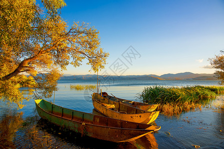 黄色小船岁月静好的洱海风光背景