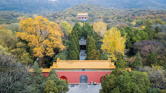 南京明孝陵秋景著名景点高清图片素材