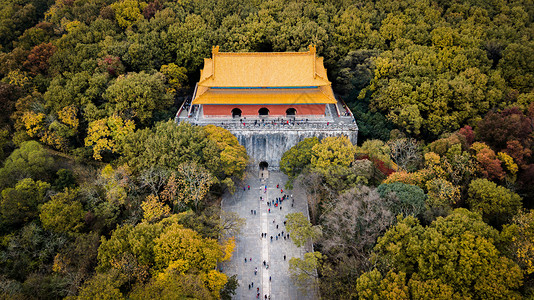 航拍南京明孝陵秋色背景