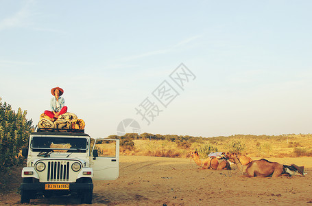 沙漠露营骆驼美女高清图片