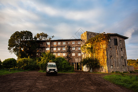 非洲著名的肯尼亚树顶酒店背景图片