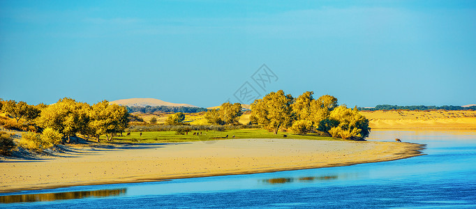 秋天河流沙漠河流胡杨背景