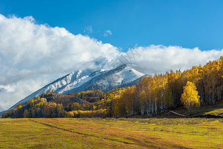 北疆雪山草原风光图片
