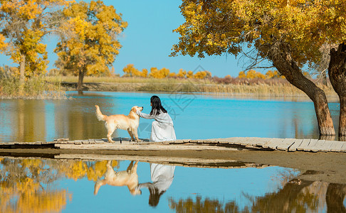 阳光和水胡杨林里的少女与狗背景