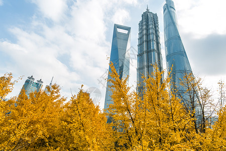 黄色标题三拼秋天的上海陆家嘴建筑背景