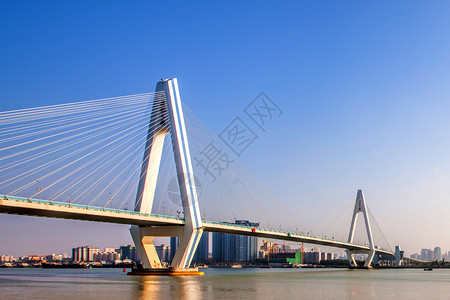 海南长寿海口世纪大桥夜景背景