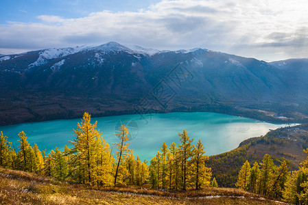 过雪山草地喀纳斯湖风光背景