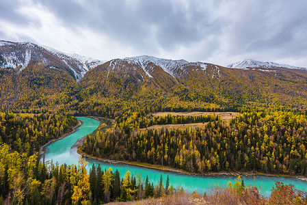 雪山树林喀纳斯湖月亮湾背景