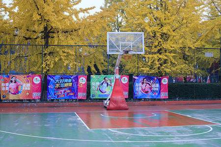 篮球海报银杏树边的篮球场背景