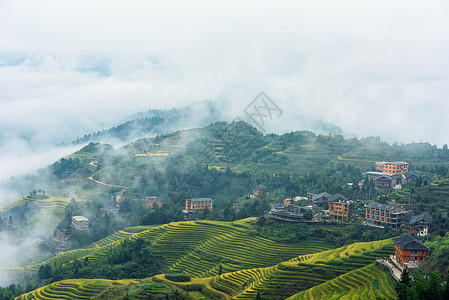 龙脊雾中的田园梯田古寨景色背景