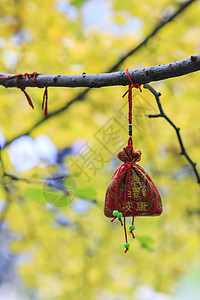 新年祈福许愿高清图片