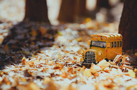 冬季金黄色校车背景图片