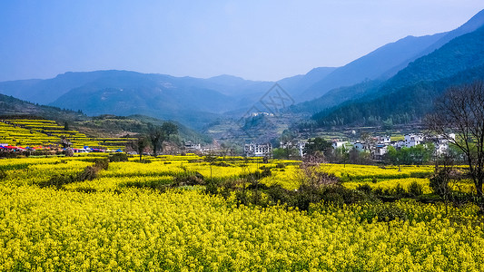 江西婺源风光江西旅游高清图片素材