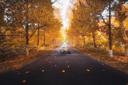 路创意秋季童话公园背景