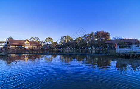 西双版纳傣族园冬季景色风景高清图片素材