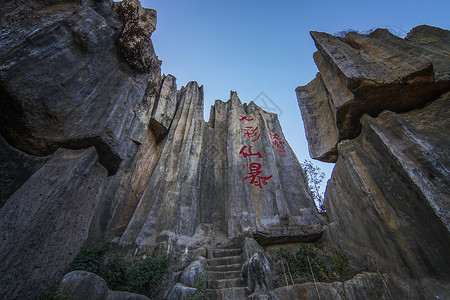 云南石林峰林背景图片